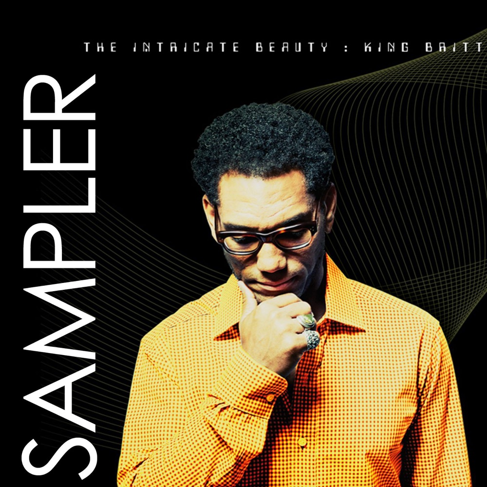Обложка альбома «The Intricate Beauty (Sampler)» — King Britt
