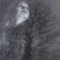 Carfax Abbey - Autumn Tears lyrics