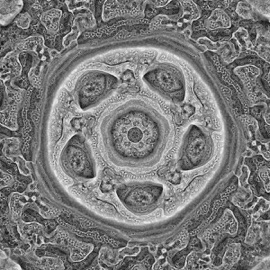 Soundtrack for Endings Caural