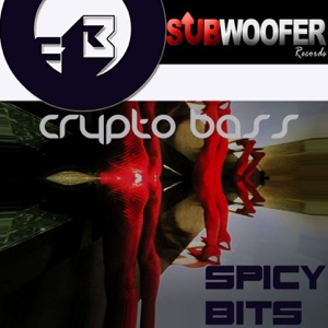 Spicy Bits - Single
