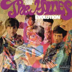 Evolution - The Hollies