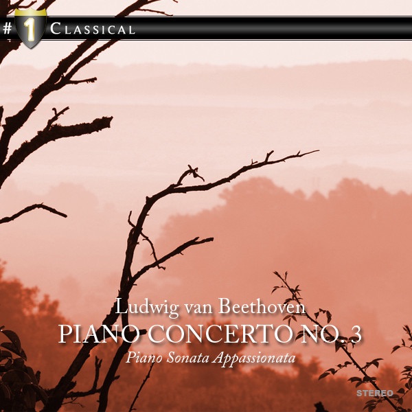 Обложка альбома «Beethoven: Piano Concerto No. 3» — RTV Slovenia Symphony Orchestra