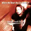 Grayhound O.C.D. - Alone