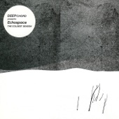 The Coldest Season (Deepchord Presents Echospace) artwork