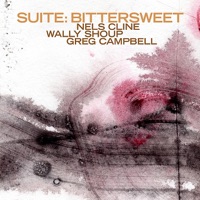 Suite: Bittersweet - Nels Cline, Wally Shoup & Greg Campbell