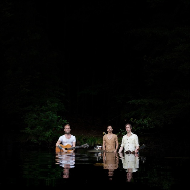 Acoustic Sunrise - Album by Various Artists - Apple Music