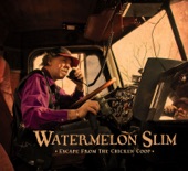 Watermelon Slim - Hank Williams You Wrote My Life