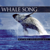 Whale Song - Peter Samuels