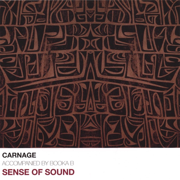 Sense of Sound