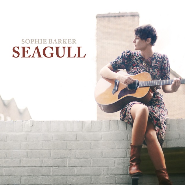 Seagull