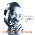 Eyesight to the Blind
