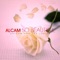 So Beautiful - Alcam lyrics