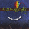 Versions Undercover - Big Mountain