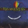 Big Mountain - You've Got a Friend