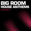 Big Room House Anthems, Vol. 5