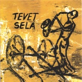 Tevet Sela - Streetwise