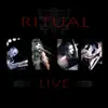 Explosive Paste (Live)