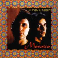 Mosaico - Strunz & Farah