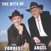 The Hits Of Foster & Allen, 2009