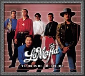 Tesoros de Colécción