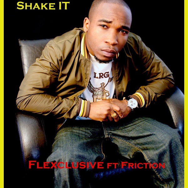 Shake It (feat. Friction)