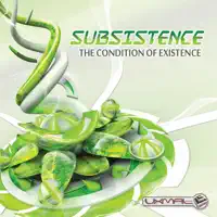 Space Sphere — Subsistence
