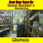 Segun Bucknor's Revolution - Gbomojo
