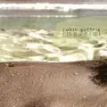 Falling From Grace