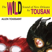 The Wild Sound of New Orleans By Tousan