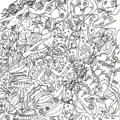 Insectes, Etc…