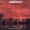 Eulogy - Swamp Gas lyrics