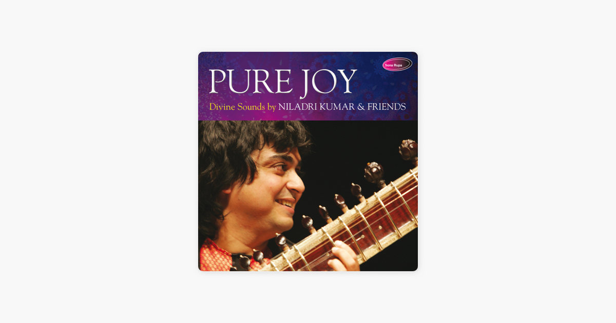 pure Peace (raag Chandranandan) By Niladri Kumar On Apple Music