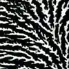 Grouper - Follow In Our Dreams