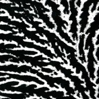 Grouper - Follow In Our Dreams