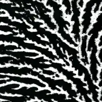 It Feels Alright — Grouper