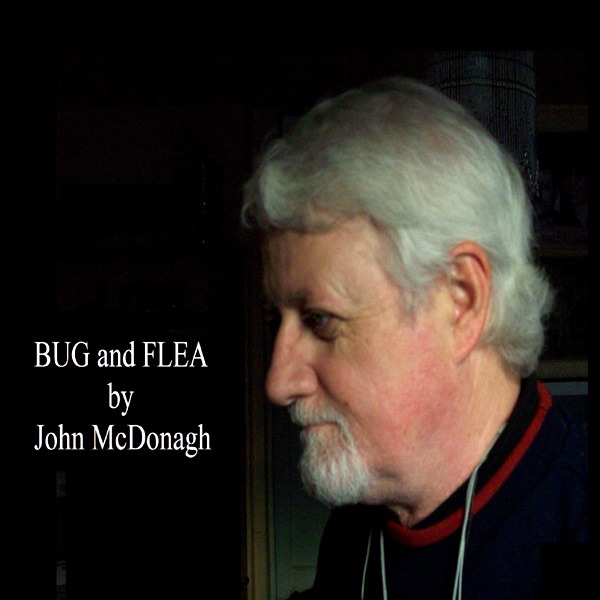 Обложка альбома «Bug and Flea» — John McDonagh
