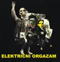 Električni orgazam