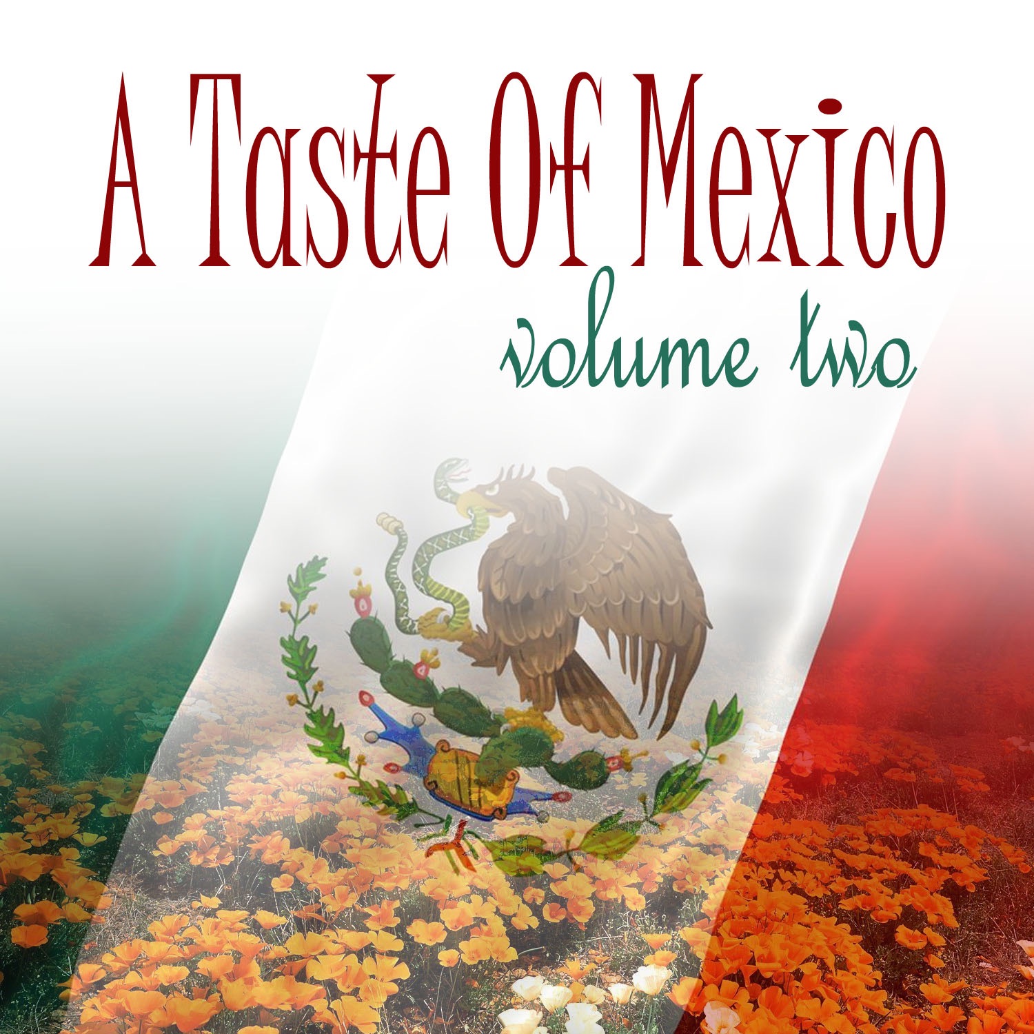 A Taste Of México Vol 2