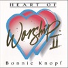 Bonnie Knopf - Turn Your Eyes Upon Jesus
