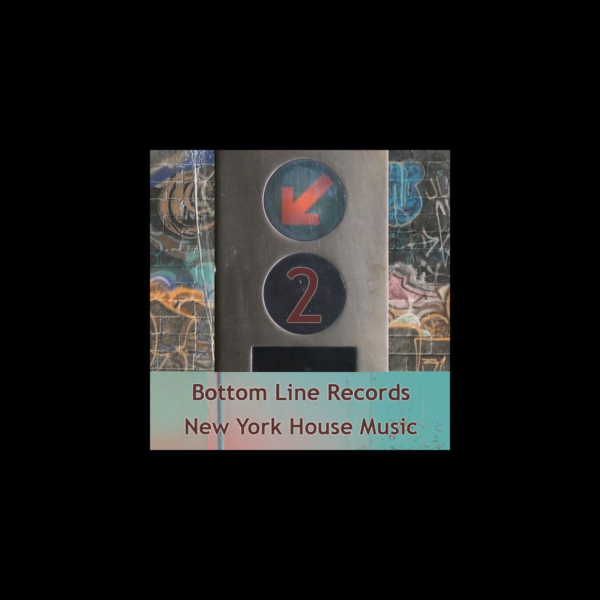 New York House Music, Vol.2” álbum de Varios Artistas en Apple Music