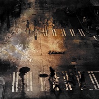 Summer's Orange Haze