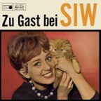 Schwarzer Kater Stanislaus