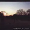 Akira Kosemura - Perpetuity