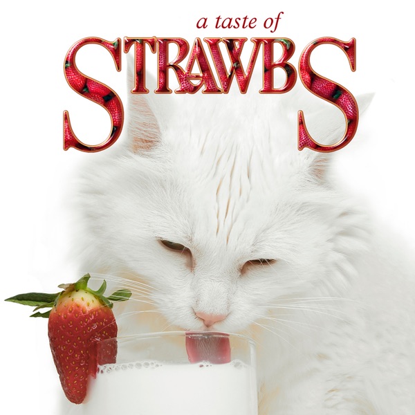 A Taste of Strawbs