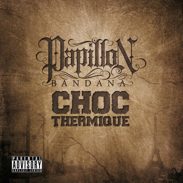 Cover of Choc thermique