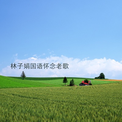 林子娟 - Love Operator