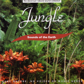 The David Sun Natural Sound Collection: Sounds of the Earth - Jungle