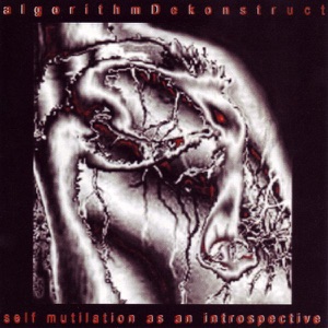 Self Mutilation As an Introspective
