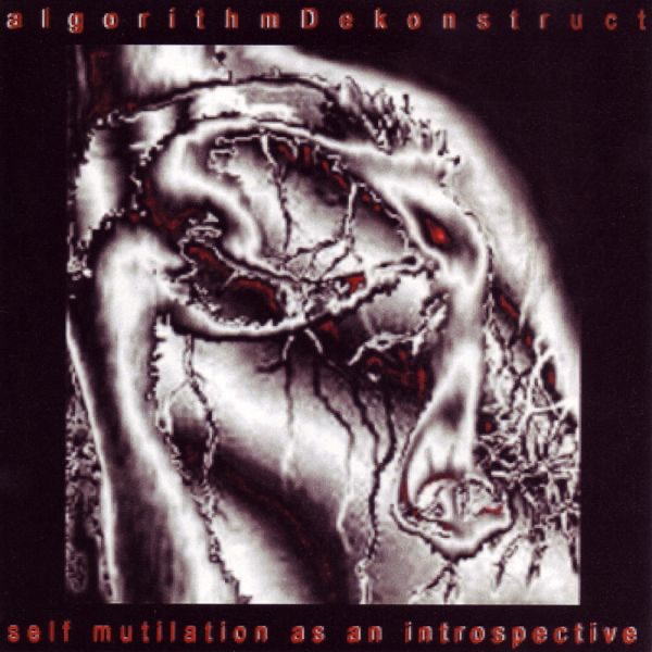 Self Mutilation As an Introspective