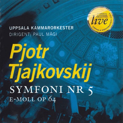 P. TCHAIKOVSKY Symphony No. 5 - Uppsala Chamber Orchestra